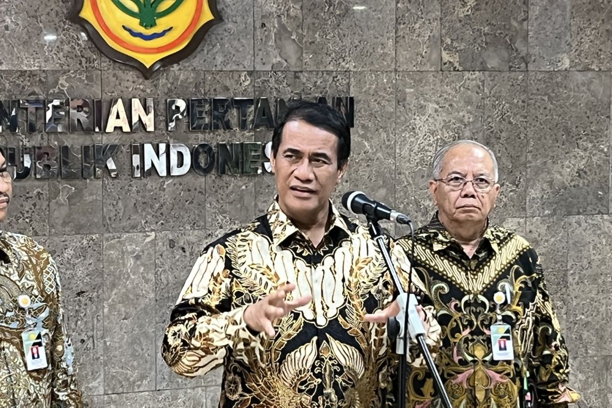 Mentan Amran Sebut Petani Indonesia Berperan Tekan Harga Beras Dunia